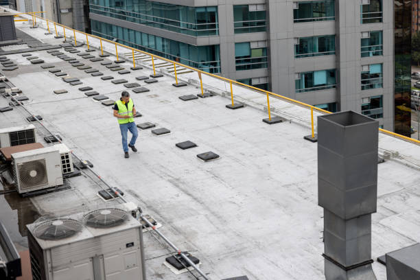 Best Flat Roofing  in Walterboro, SC