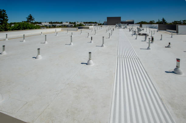 Best Roof Coating and Sealing  in Walterboro, SC